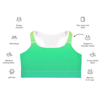 Everyday Sunset Lime Sports Bra