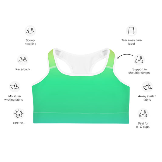 Everyday Sunset Lime Sports Bra